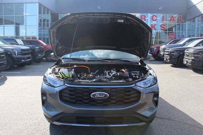 2026 Ford Escape ST-Line Select