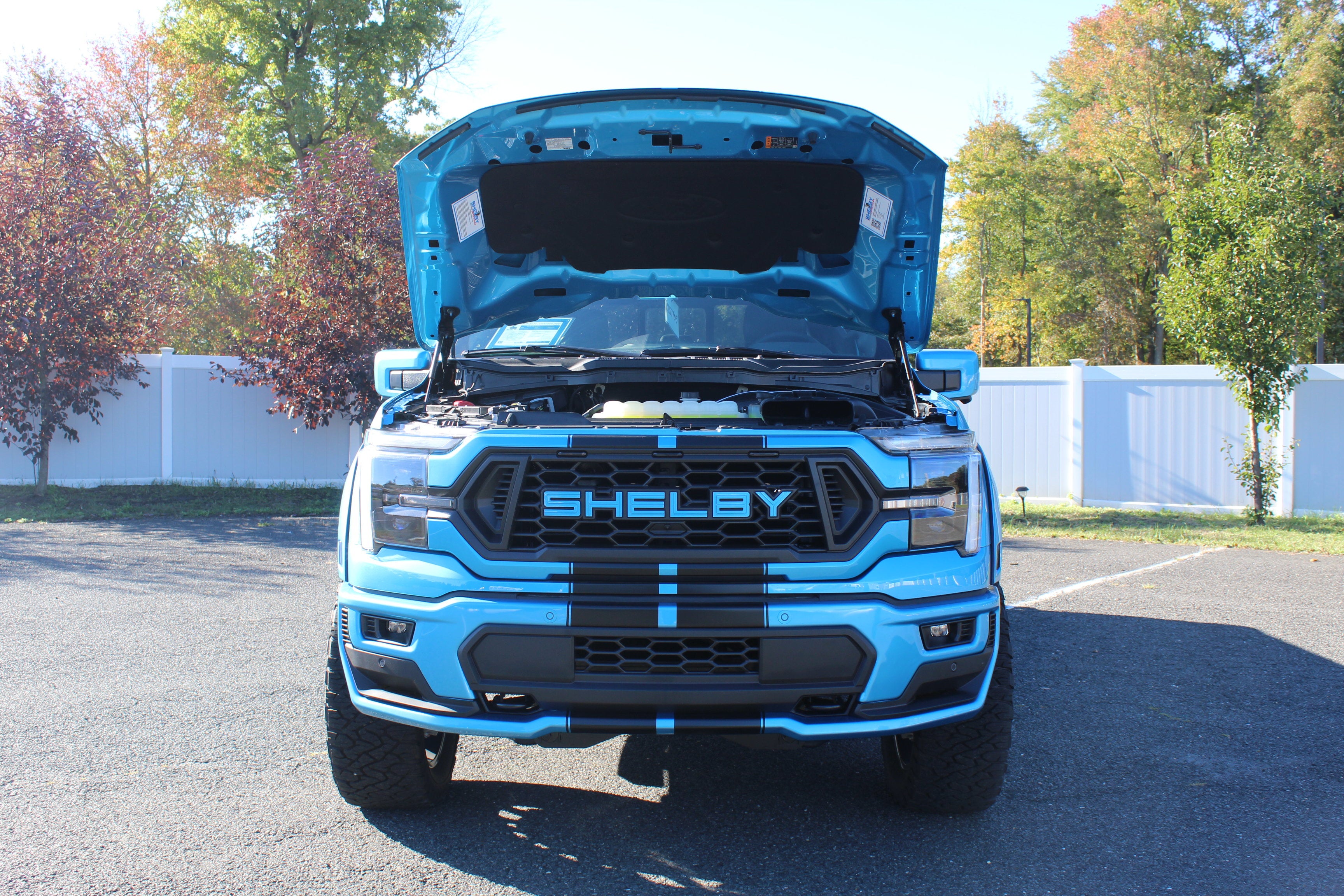 2026 Ford F-150 Championship Edition Shelby