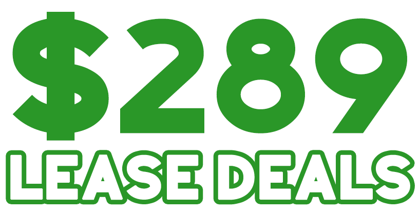 All American Ford Fleet