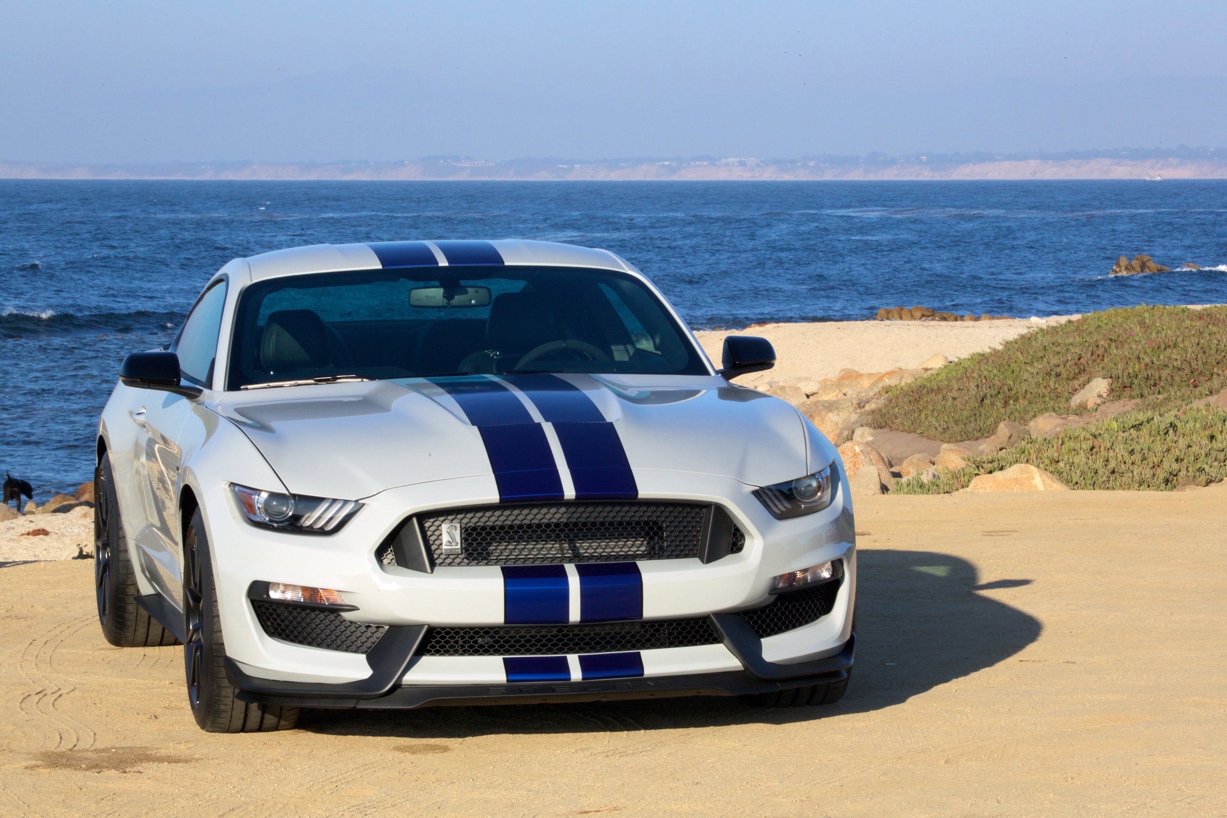 All American Ford in Old Bridge | 2016 Shelby GT350 Mustang