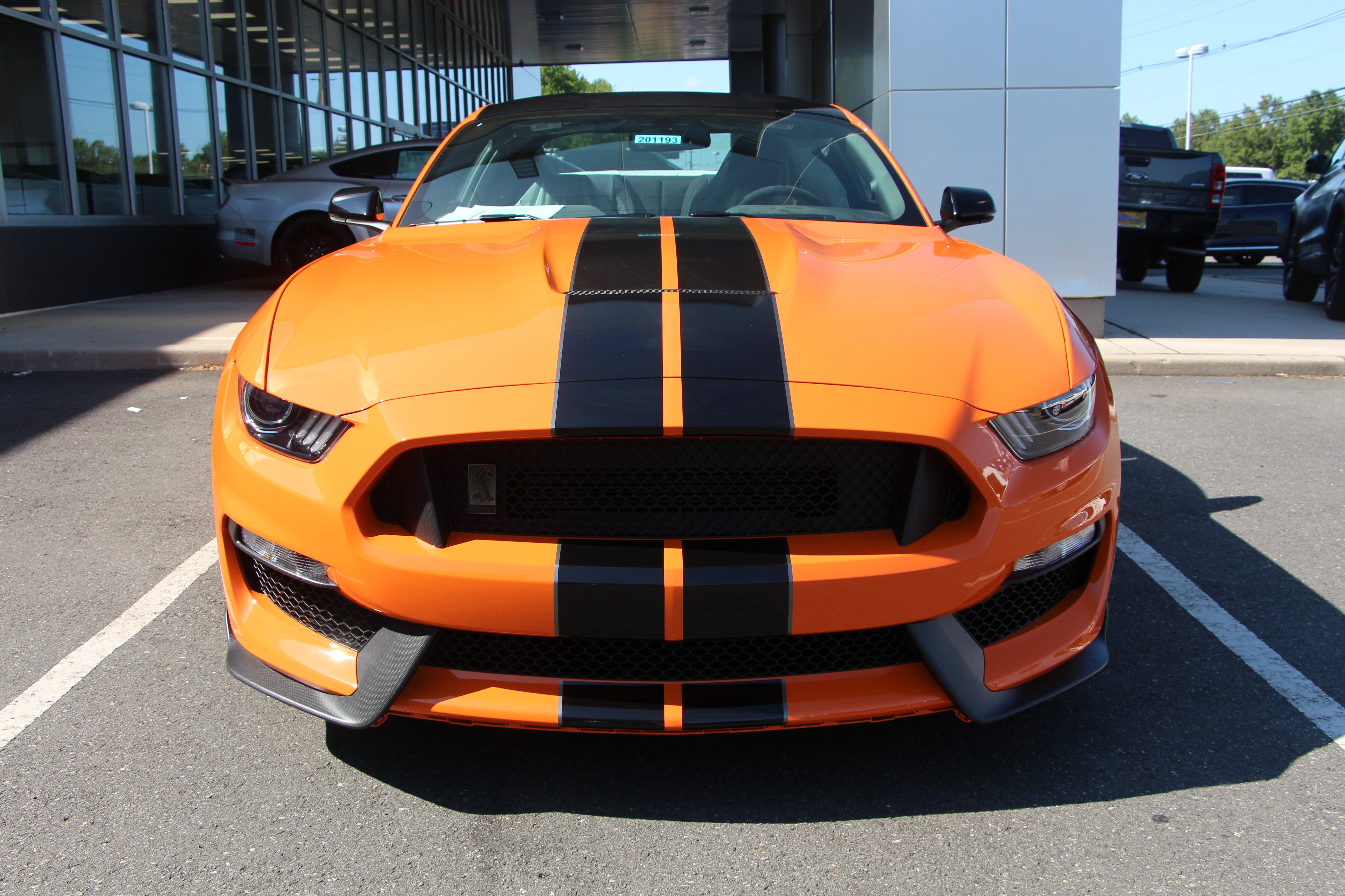 Shelby F-150 Super Snake Red at All American Ford in Old Bridge in Old Bridge NJ