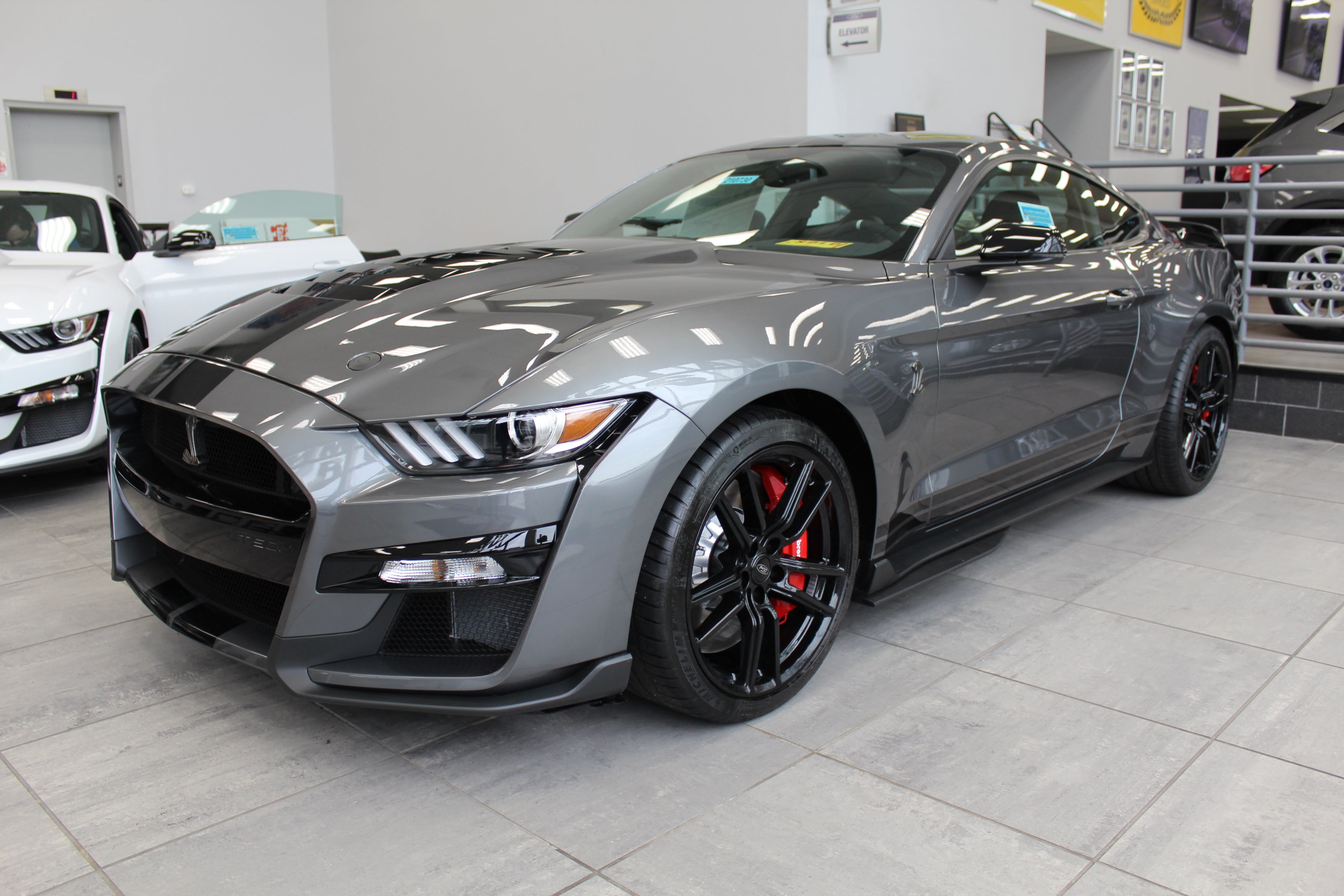 Shelby F-150 Super Snake Red at All American Ford in Old Bridge in Old Bridge NJ
