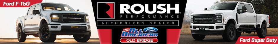 Custom Vehicle Center Pencil Banner