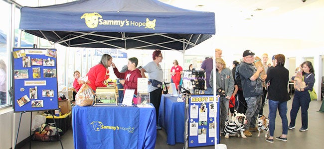 Sammy's Hope booth